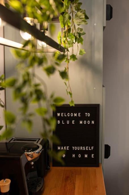 Blue Moon. Cozy Apartment Near Iulius Mall 클루지나포카 외부 사진