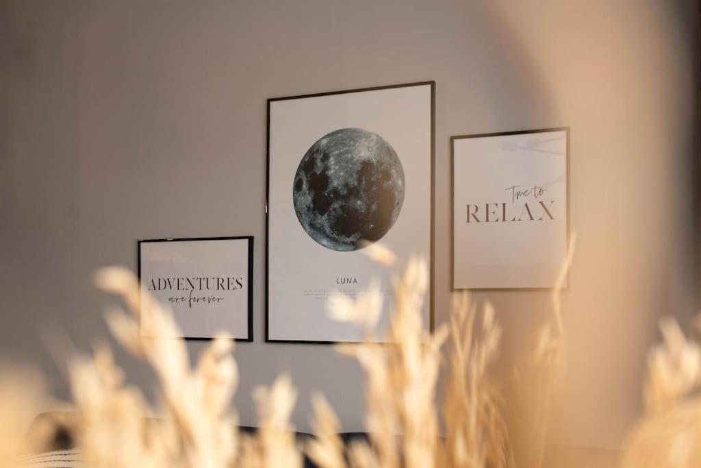 Blue Moon. Cozy Apartment Near Iulius Mall 클루지나포카 외부 사진