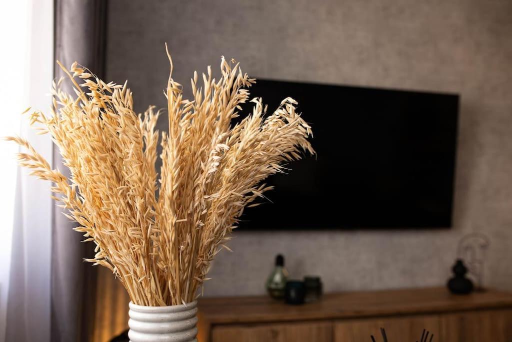 Blue Moon. Cozy Apartment Near Iulius Mall 클루지나포카 외부 사진