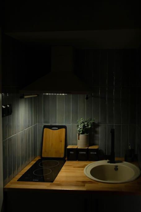 Blue Moon. Cozy Apartment Near Iulius Mall 클루지나포카 외부 사진