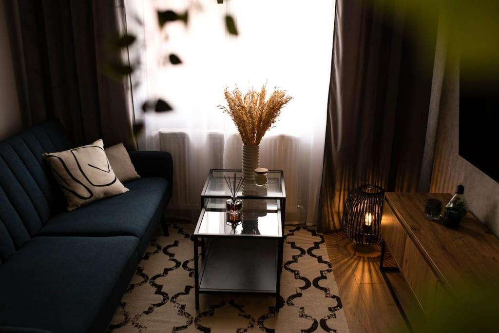 Blue Moon. Cozy Apartment Near Iulius Mall 클루지나포카 외부 사진