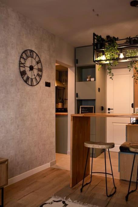 Blue Moon. Cozy Apartment Near Iulius Mall 클루지나포카 외부 사진